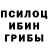 Псилоцибиновые грибы MAGIC MUSHROOMS mohi2k10