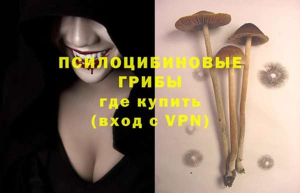 дживик Алексин