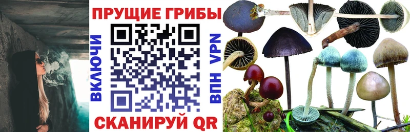 Псилоцибиновые грибы Psilocybe  купить   omg ссылка  Краснокамск 